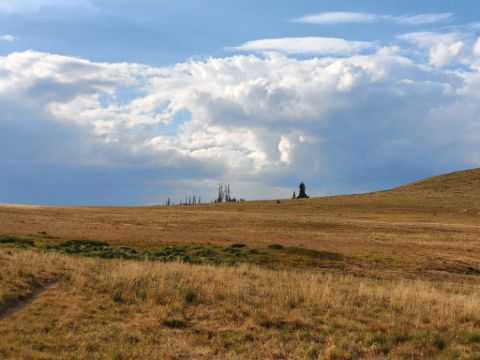 Kousek za Spring Creek Pass