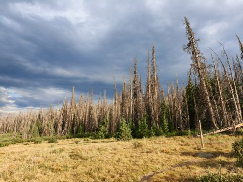 Kousek za Spring Creek Pass